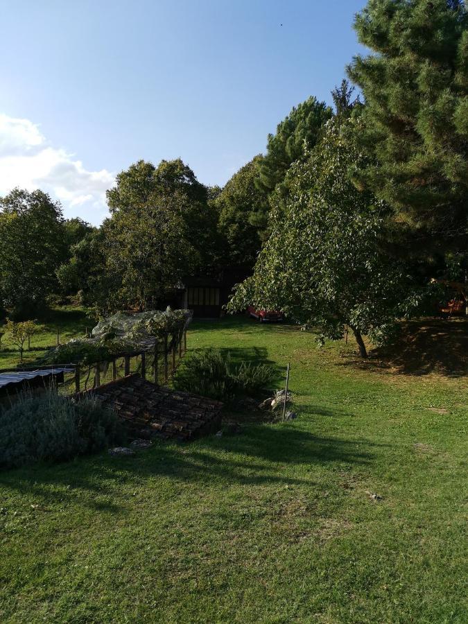 Apartman Marijeta Mošćenička Draga Buitenkant foto