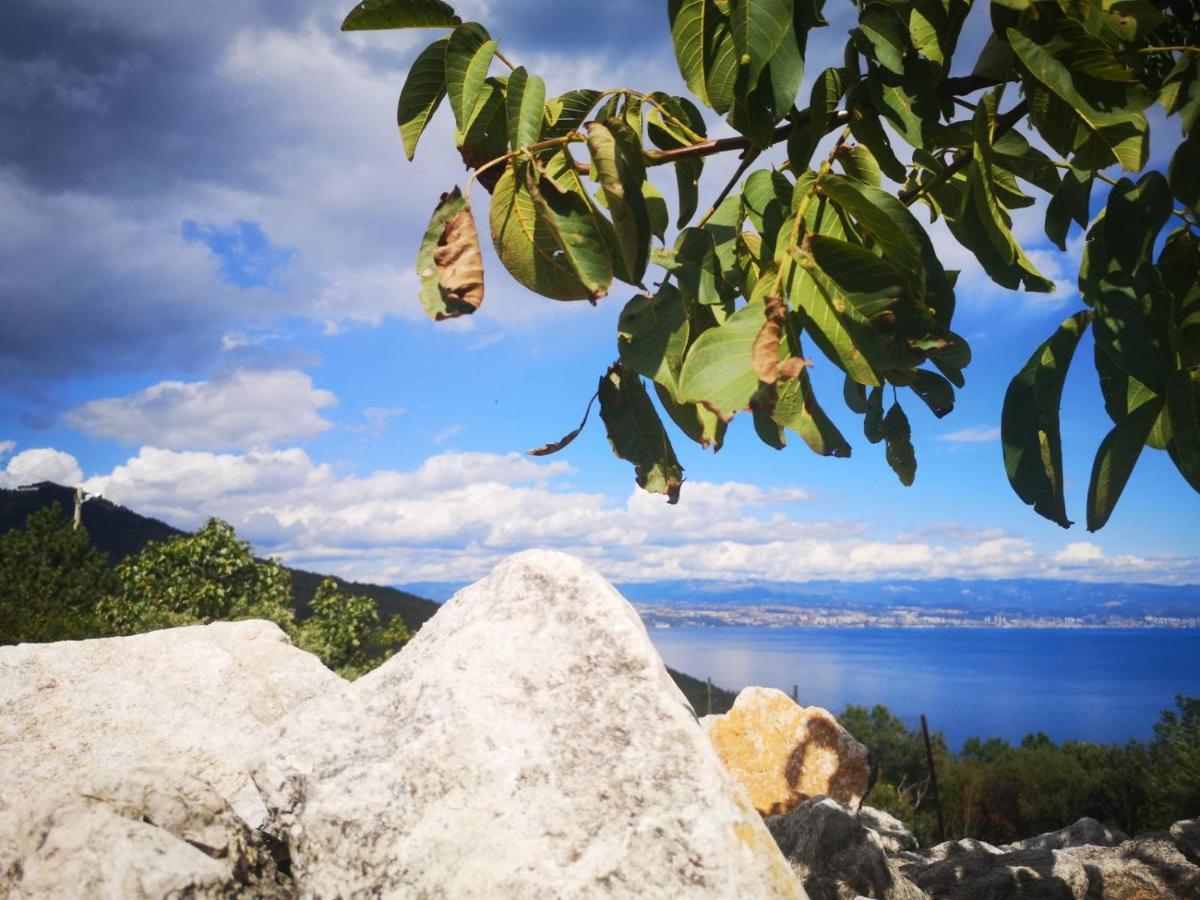 Apartman Marijeta Mošćenička Draga Buitenkant foto