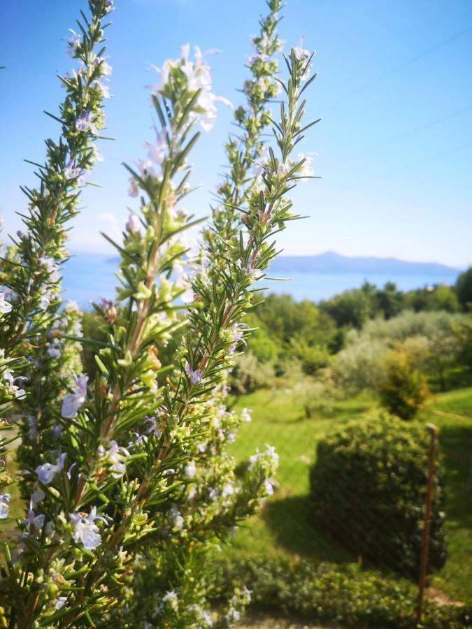 Apartman Marijeta Mošćenička Draga Buitenkant foto