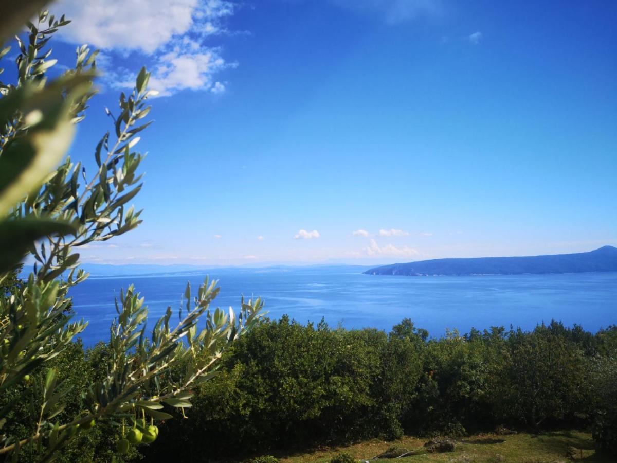 Apartman Marijeta Mošćenička Draga Buitenkant foto