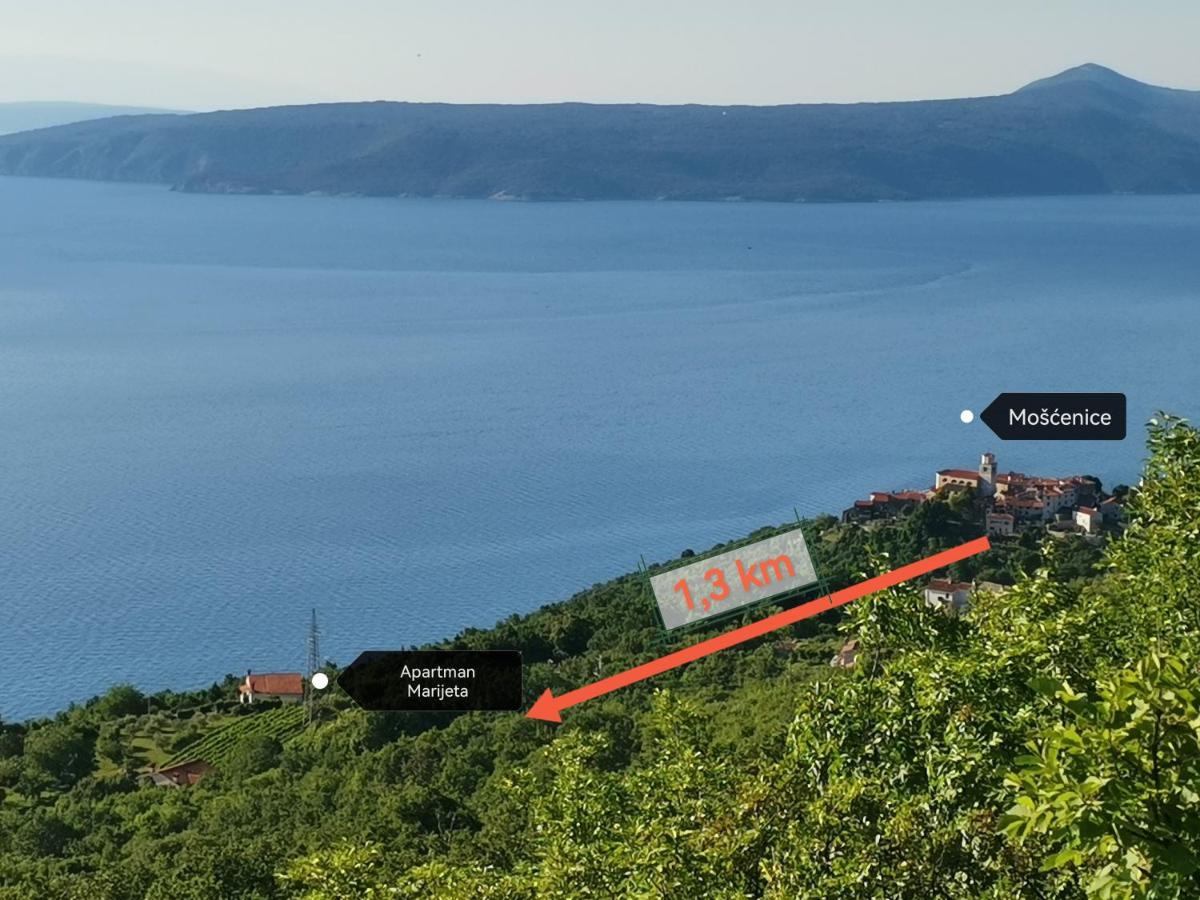 Apartman Marijeta Mošćenička Draga Buitenkant foto
