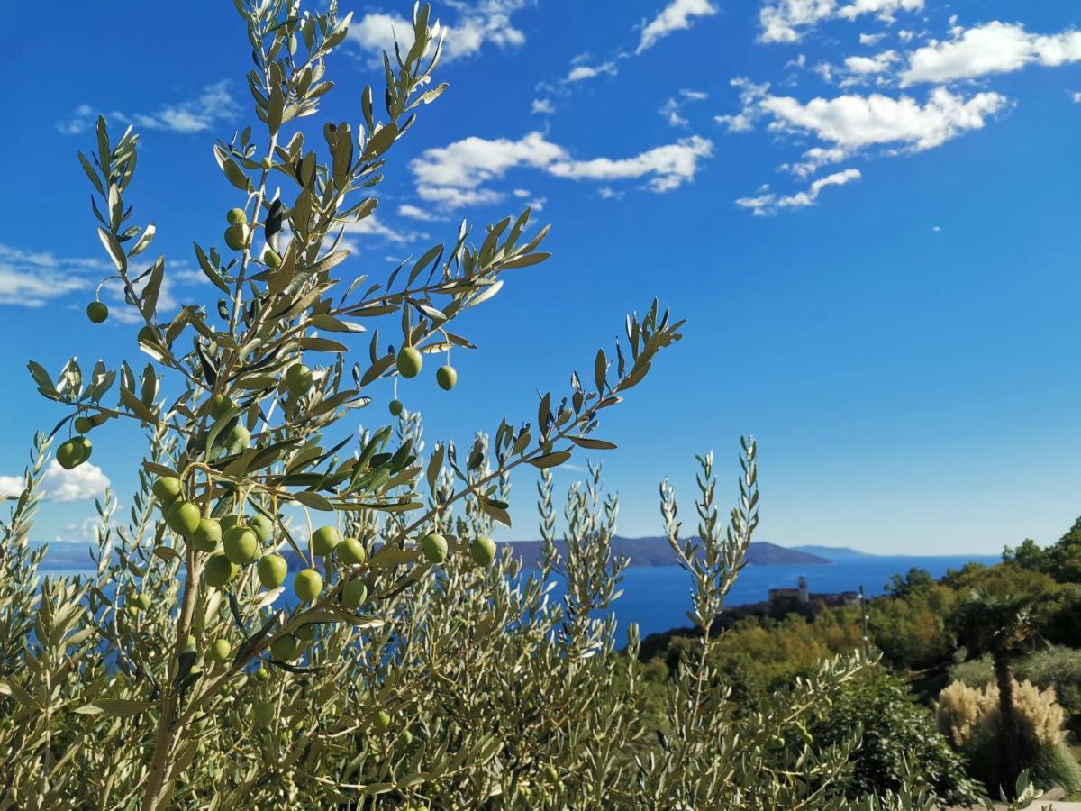 Apartman Marijeta Mošćenička Draga Buitenkant foto