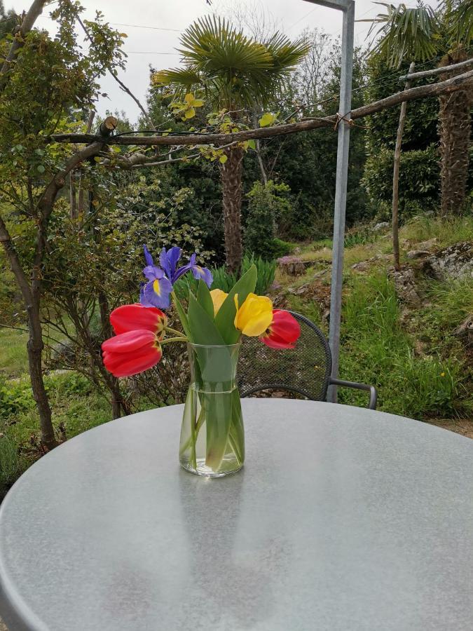 Apartman Marijeta Mošćenička Draga Buitenkant foto